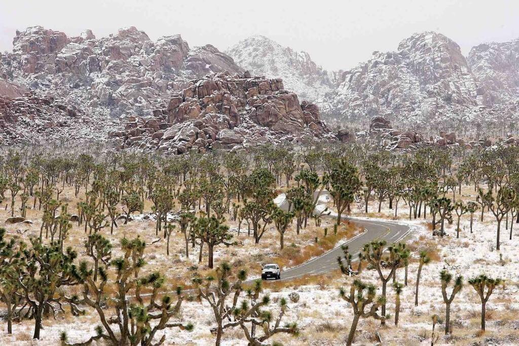 Joshua Tree's Highland Hideaway Compound Casa vacanze *